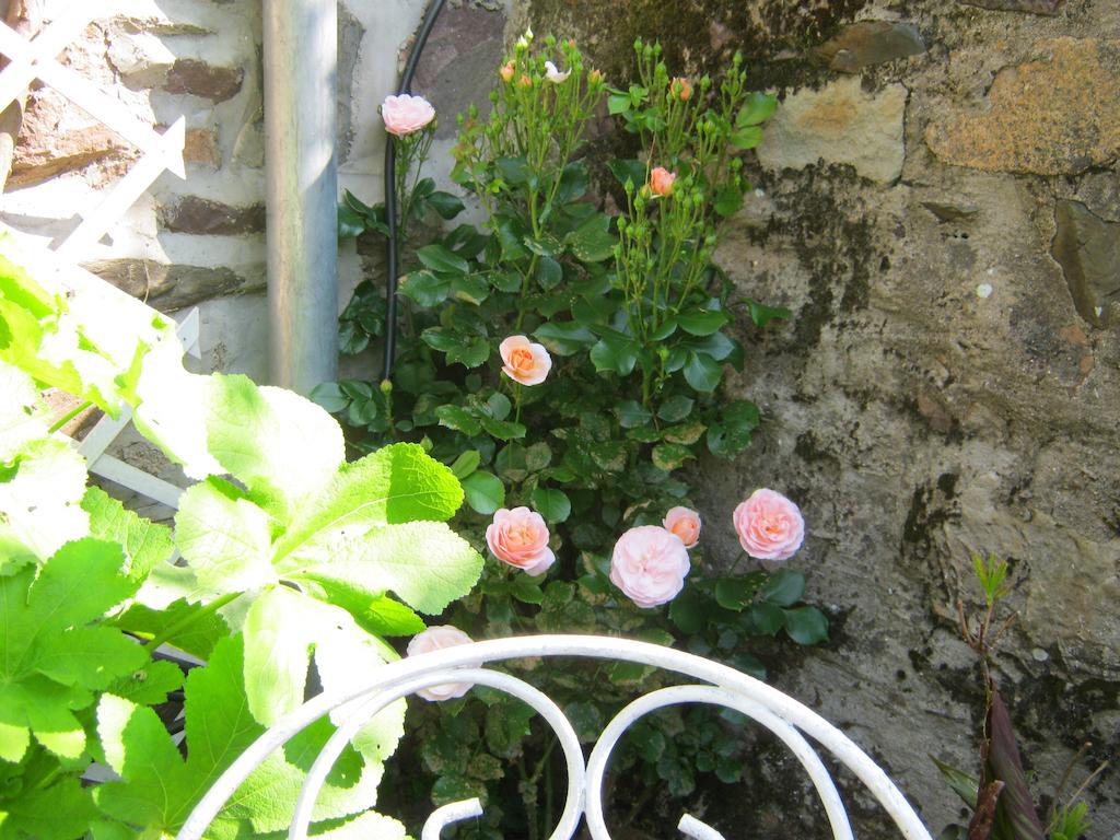 Chambres Hotes Saint Yves Pontrieux Exterior photo